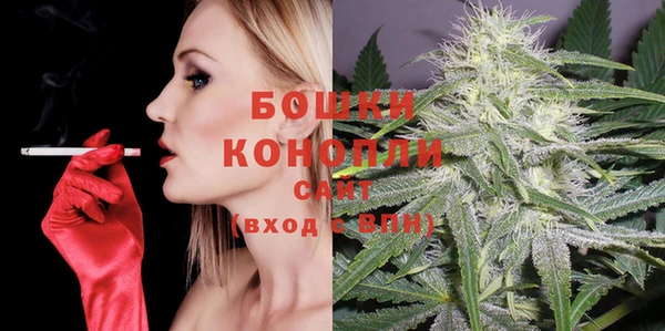крисы Магадан