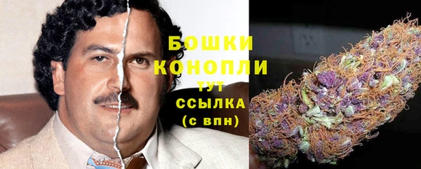 крисы Магадан
