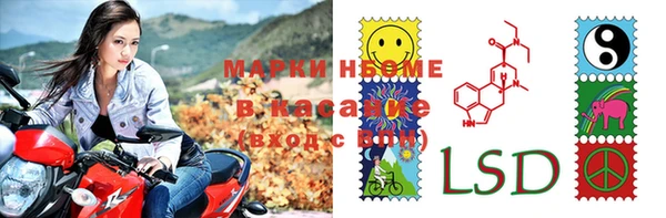 крисы Магадан
