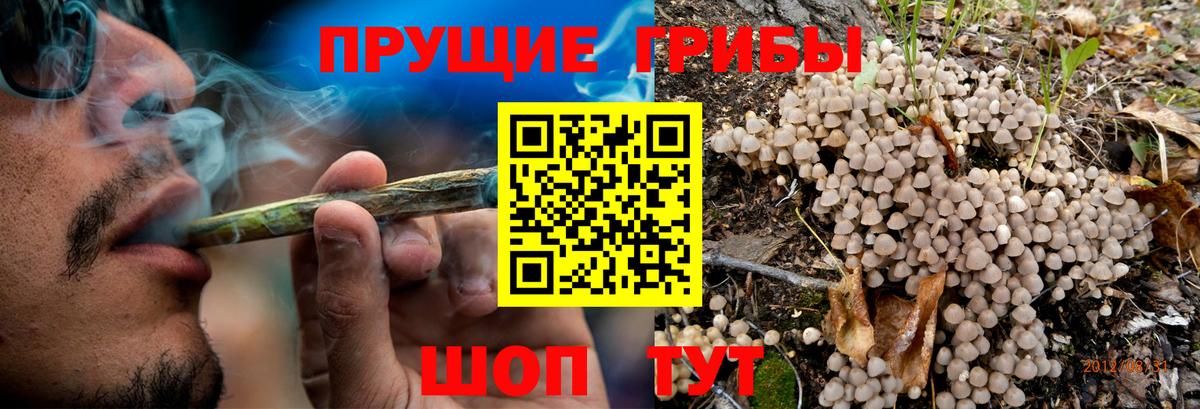 что такое   Лиски  Псилоцибиновые грибы MAGIC MUSHROOMS 